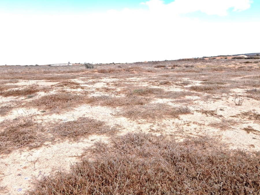 0 Bedroom Property for Sale in Langebaan Country Estate Western Cape